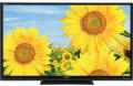 Rent 65 inch LCD